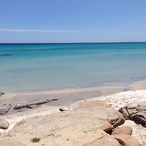 Cap Bon Kelibia Beach Hotel&Spa